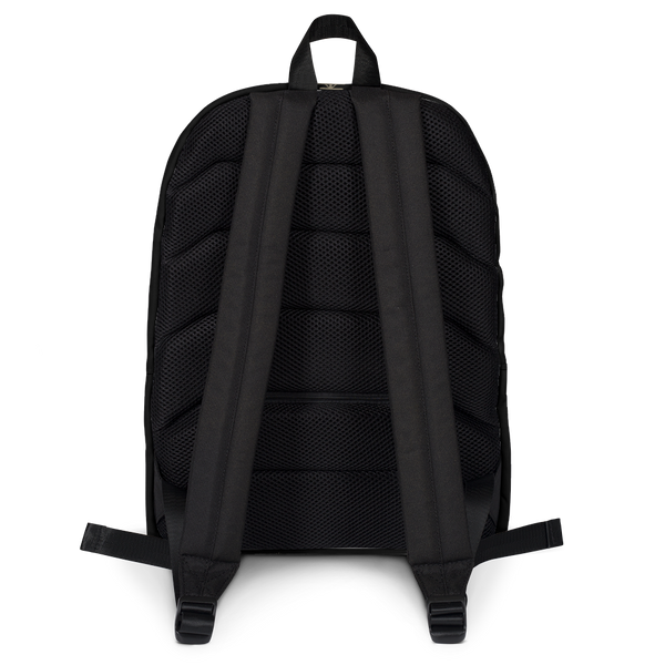 Aspect Backpack