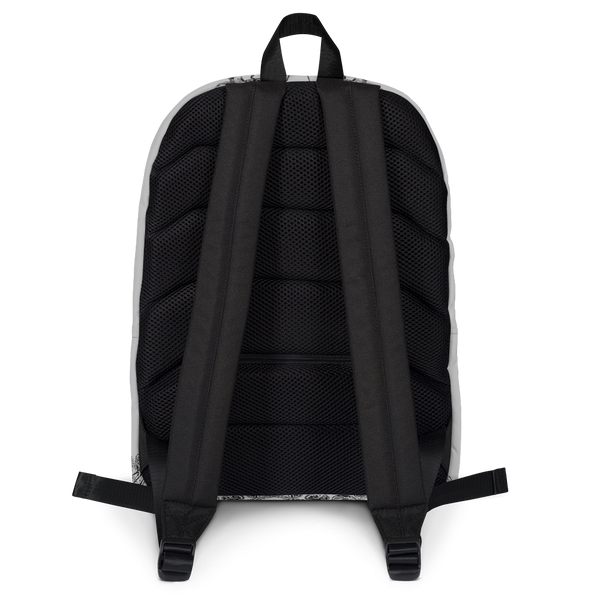 Vision Backpack